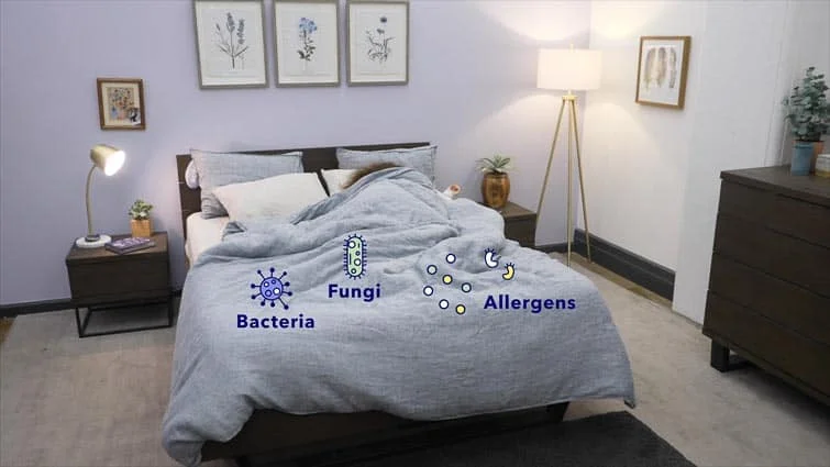 allergens bacteria sheets