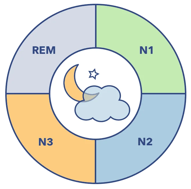 SO SleepStagesGraphics2 SleepCycle