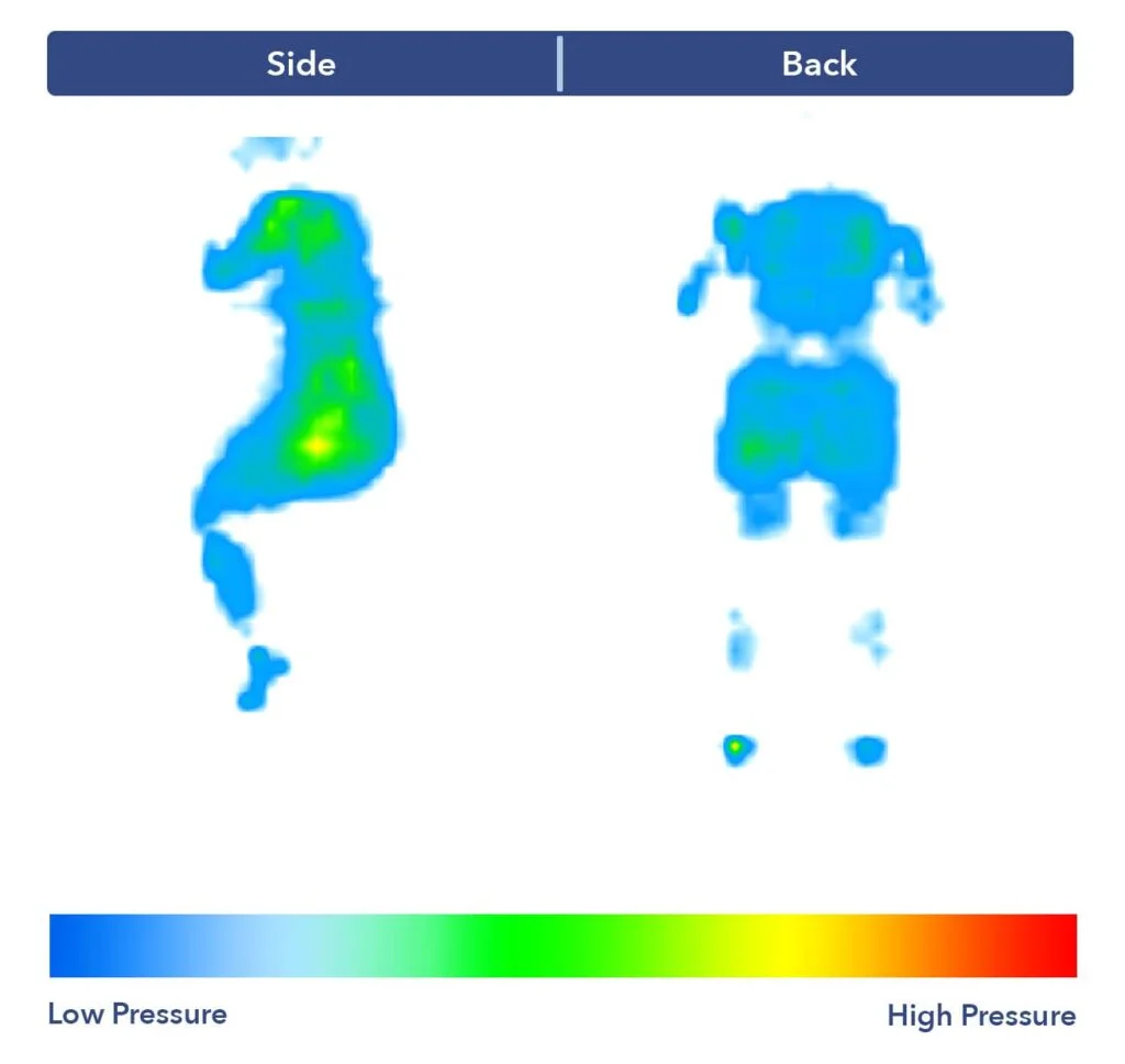 A pressure map graphic for the DreamCloud mattress. The graphic is mostly blue, with some green at the shoulders and hips, indicating very light pressure buildup.