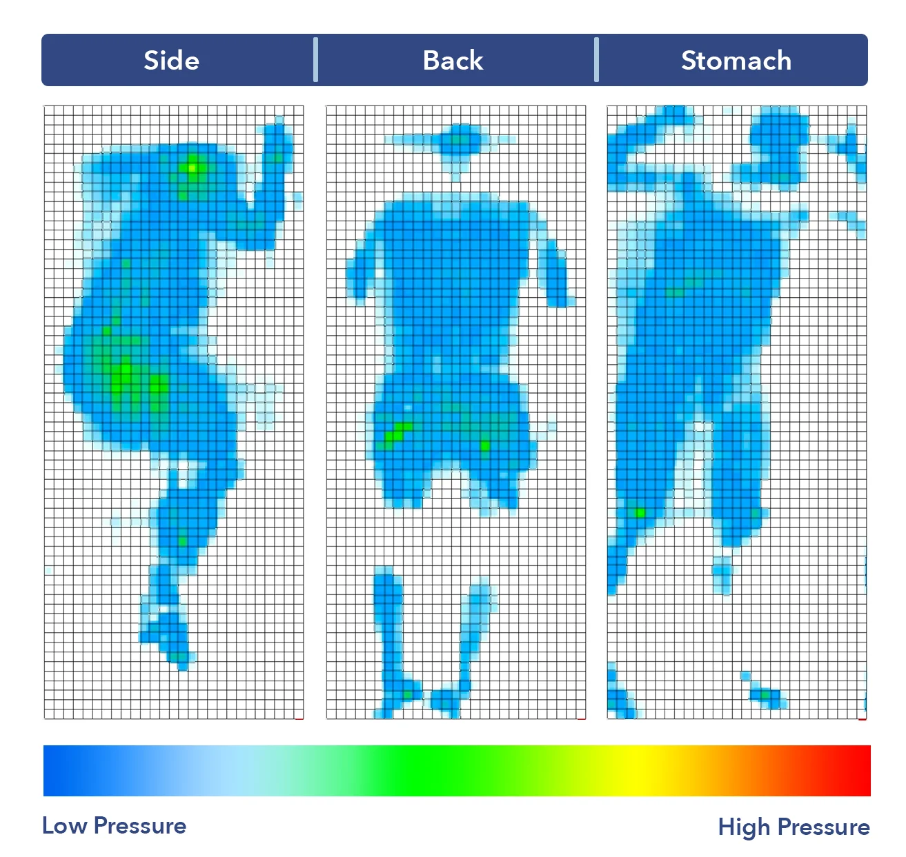Snuggle-Pedic Supreme Plush Pressure Map