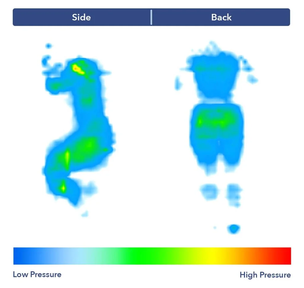 PressureMap BrooklynBeddingEssential