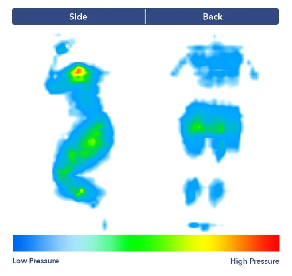 PressureMap SweetnightPrime