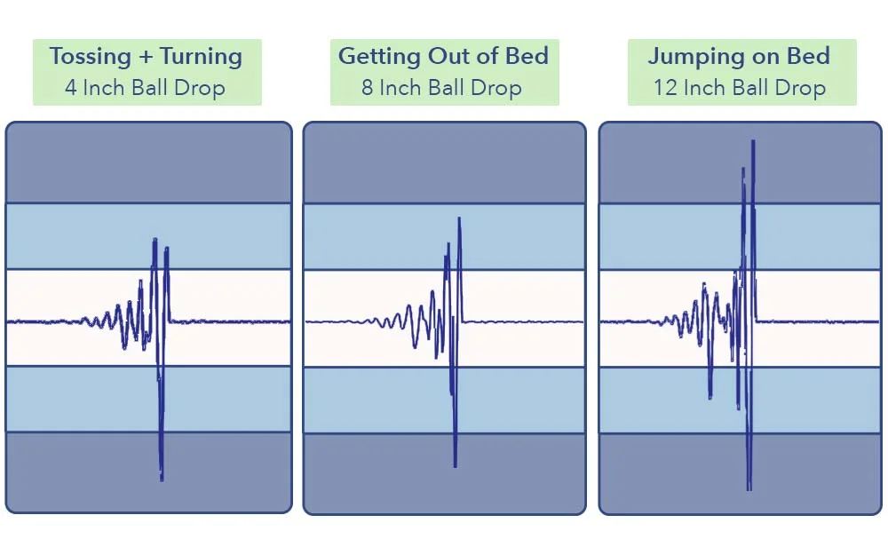 Motion Transfer Results - Novaform