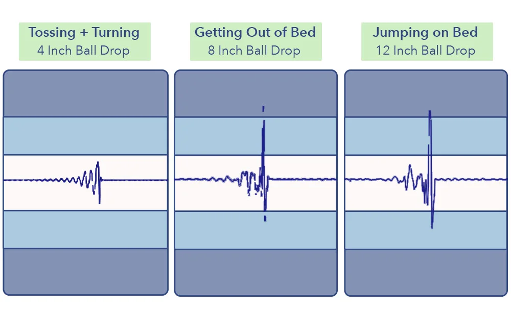 LeesaMattress MotionTransfer 1