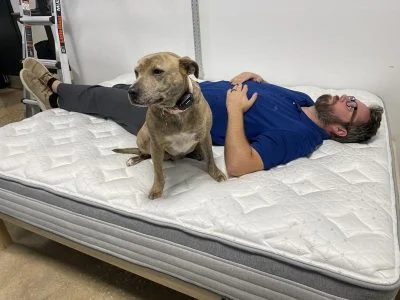 Canine associate poses for a photo on the Helix Plus Mattress