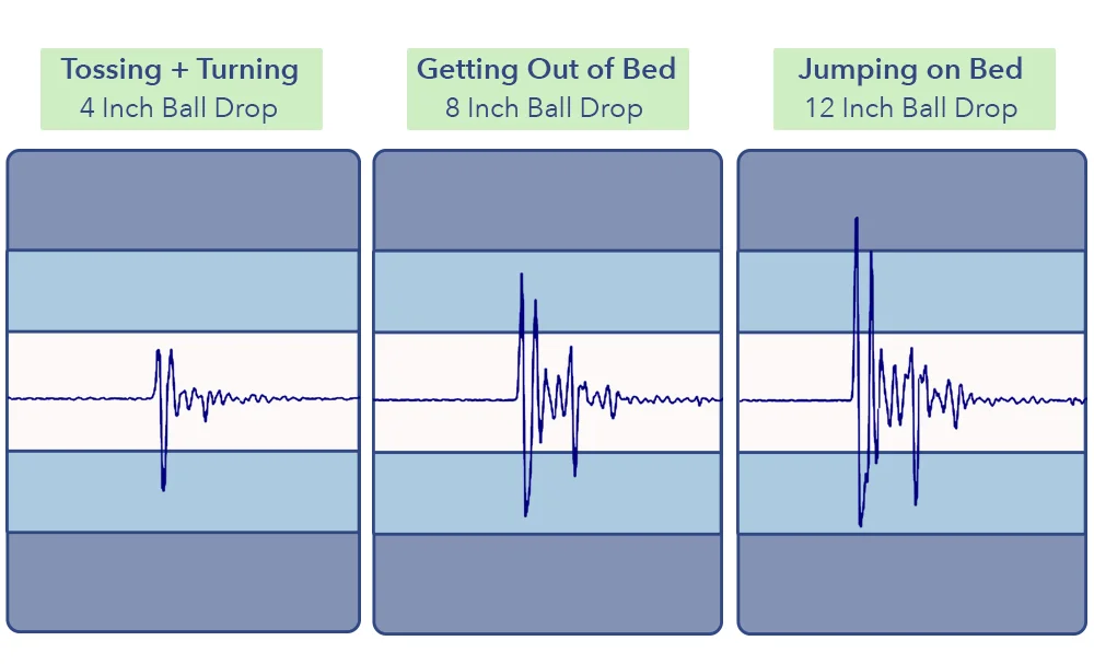 Naturepedic Motion Transfer