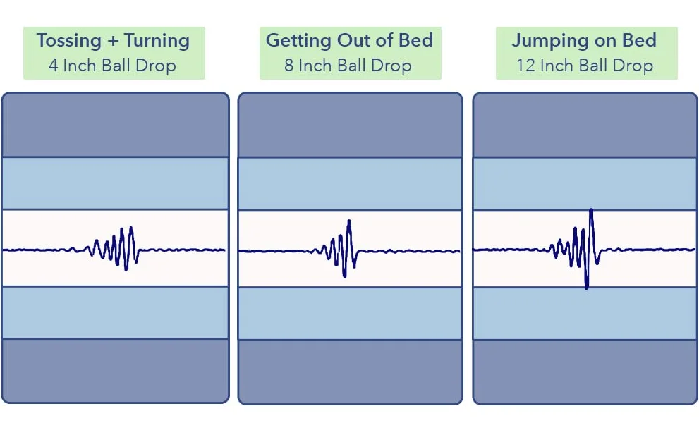 LuxeBreeze motion transfer