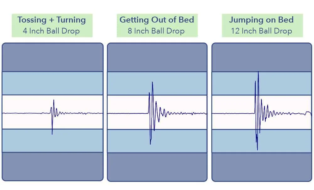 Wanderlust Motion Transfer