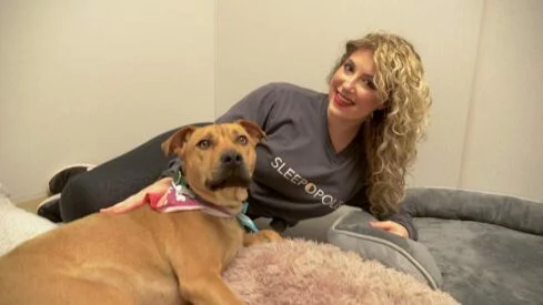 We Got Cozy With These Shelter Dogs to Get Their Opinions on Top Dog Beds (Video)