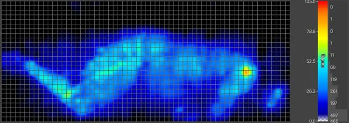 Side-sleeping pressure map of our heavy tester on the WinkBed EcoCloud Hybrid Mattress