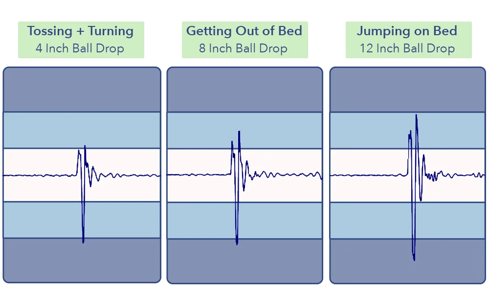 Puffy Royal Hybrid Motion Transfer