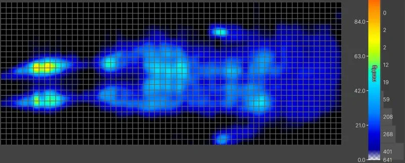Back-sleeping Pressure map of the Linenspa 8-Inch Hybrid