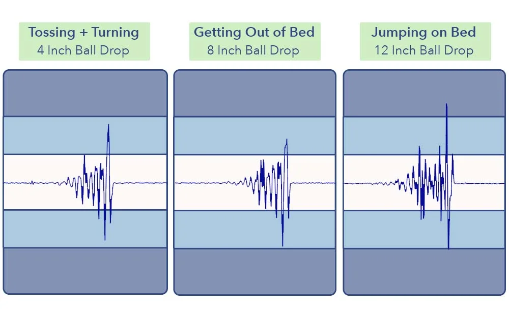 The Nectar Classic Hybrid's seismometer test results.