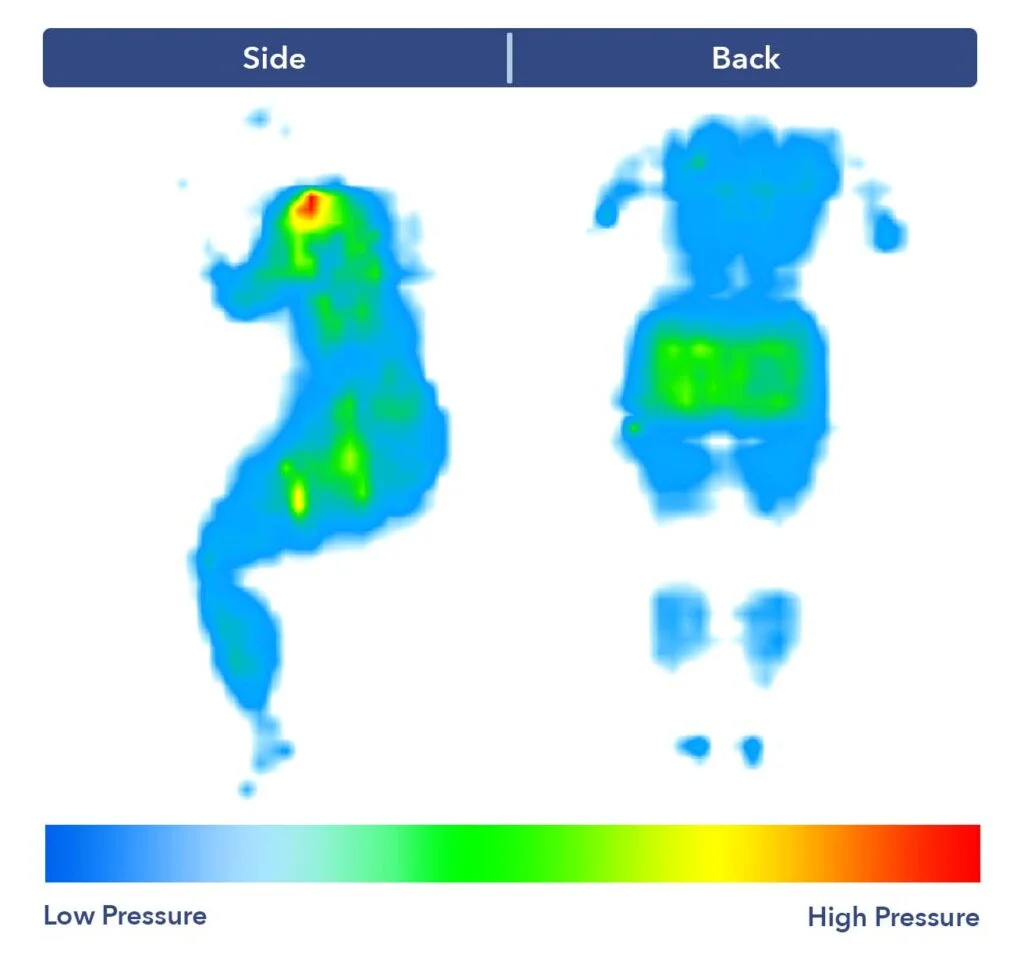 PressureMap NestFinch
