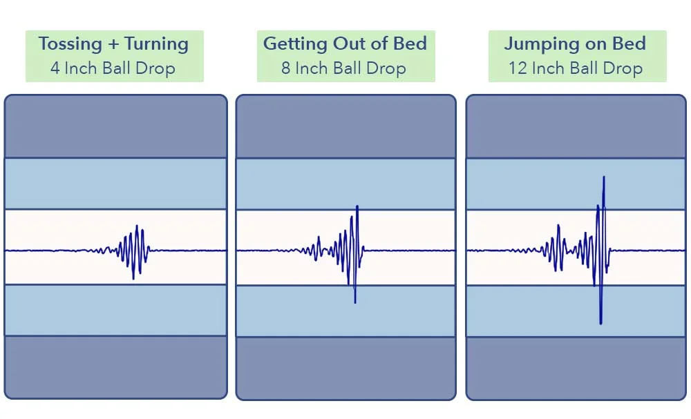 MotionTransfer LoganCoveFrontier