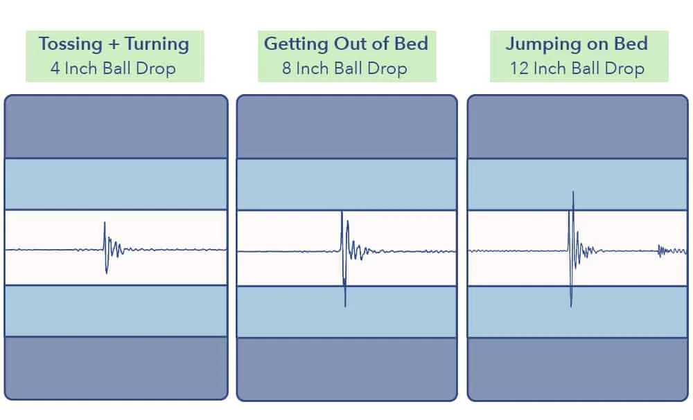 Allswell Supreme Motion Transfer