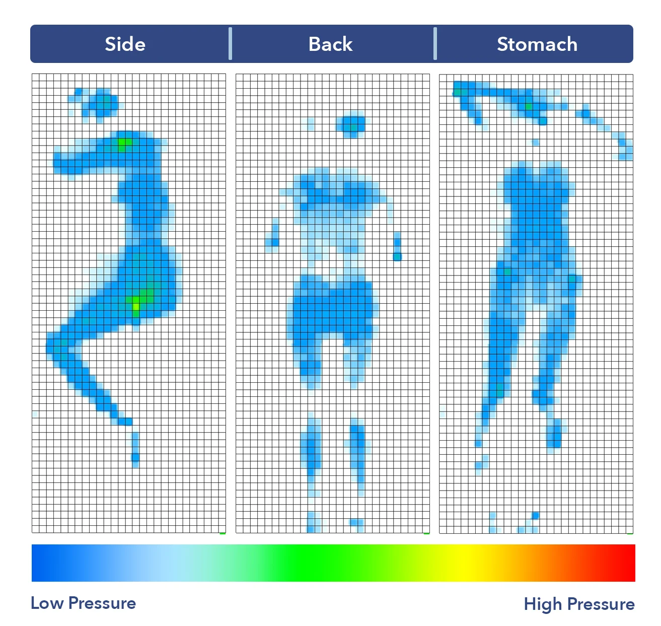 The Spartan's pressure map results