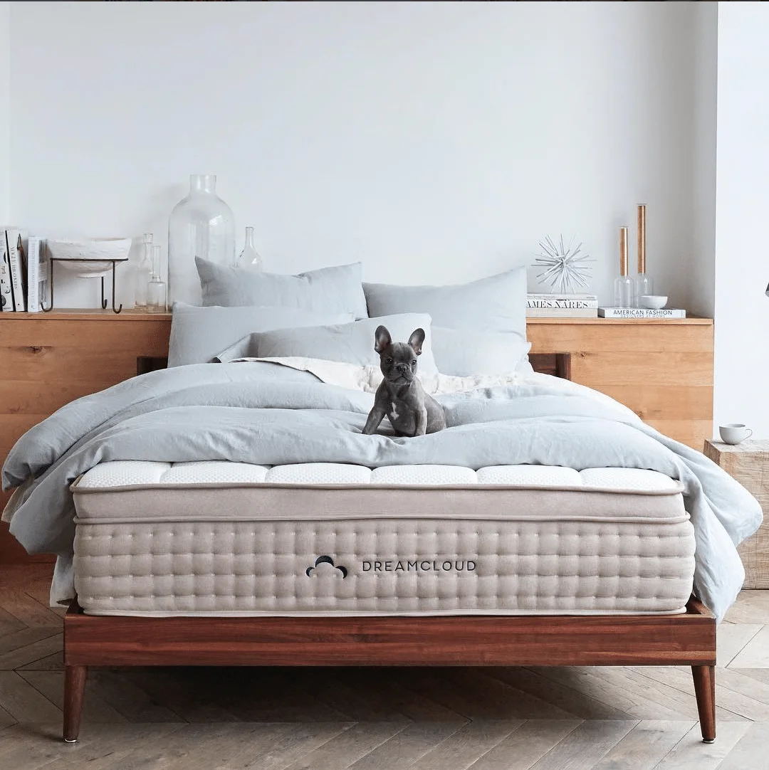 DreamCloud Sleep Unveils New Headboard and Frame