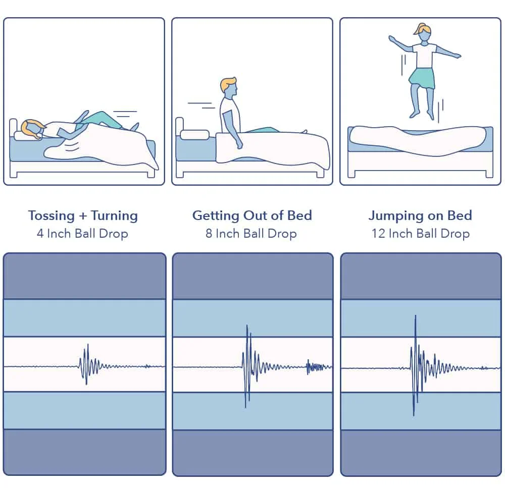 Douglas mattress motion transfer