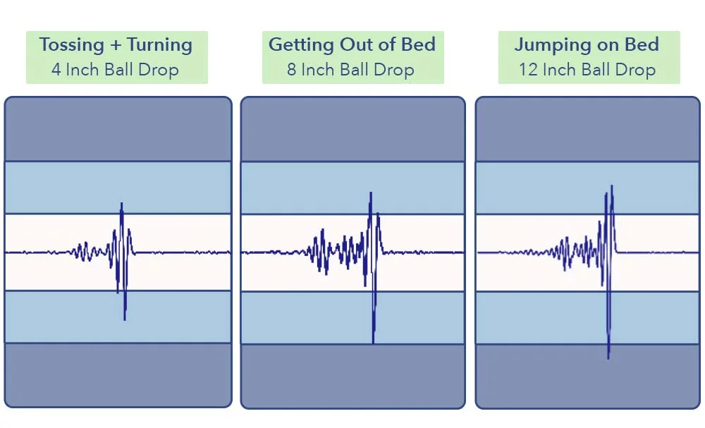 MotionTransfer_brooklyn_ecosleep_luxe