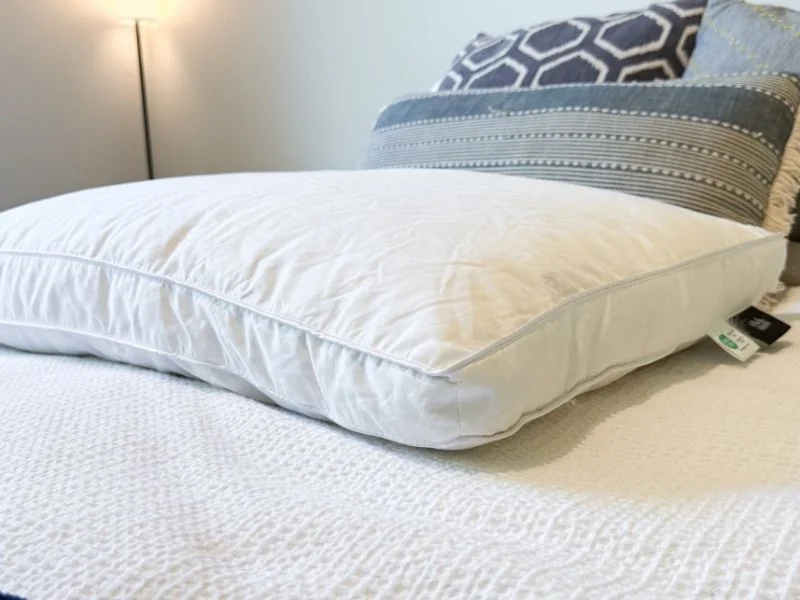 Silk & Snow Reserve Down Pillow